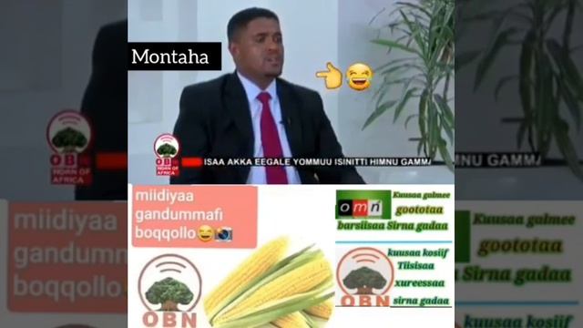 Arra faxaraan kanaani Kolfaan nufixe Pirizdanti Biltsiginnaa ???? смотреть онлайн