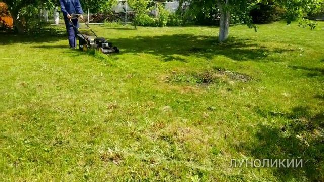 ГАЗОНОКОСИЛКА ХЮТЕР ТРАВОСБОРНИК ВСЕГДА ПОЛОН УСПЕВАЙ ВЫБРАСЫВАЙ смотреть онлайн