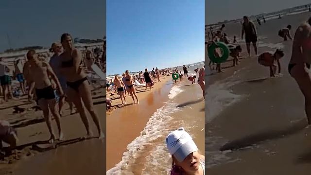 Пляж Джемете сейчас 18 июля Море Джемете сегодня 2022 Анапа смотреть онлайн
