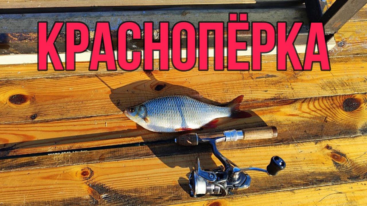 #мормышинг | Ловим ЖИРНУЮ красноперку | смотреть онлайн