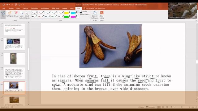 ECOLOGY VIDEO#3 (GRADE 8 SCIENCE) смотреть онлайн