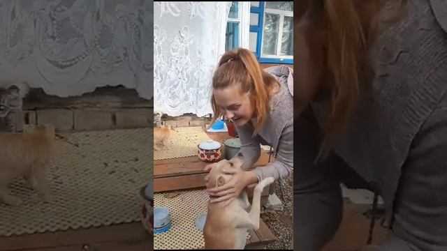 Снимала дочка,пока мы на работе! смотреть онлайн