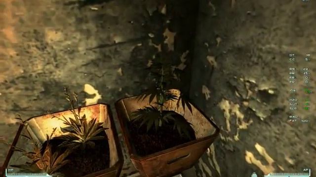 Fallout New Vegas - Red Rock Ranch смотреть онлайн