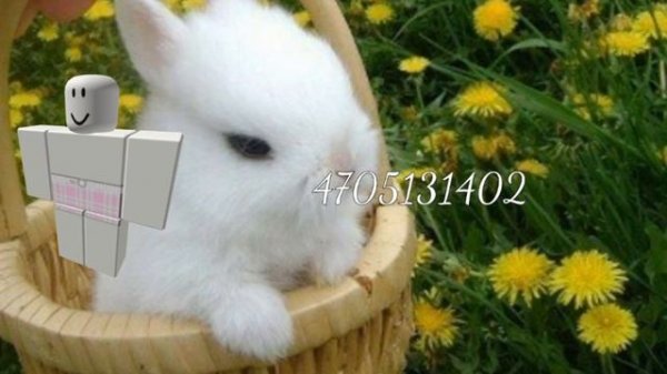 Roblox Pants and shirt codes / Clothes Ids For Games