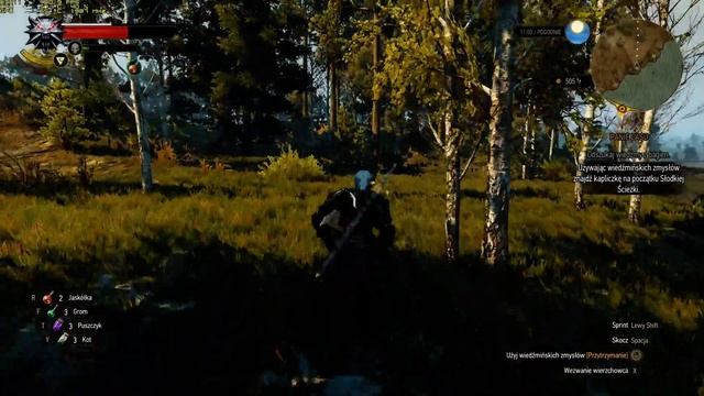 THE WITCHER 3 | GTX 1080 | i7 6700k | UBER SETTINGS + HAIRWORKS ON + MODS | FRAMERATE TEST смотреть онлайн