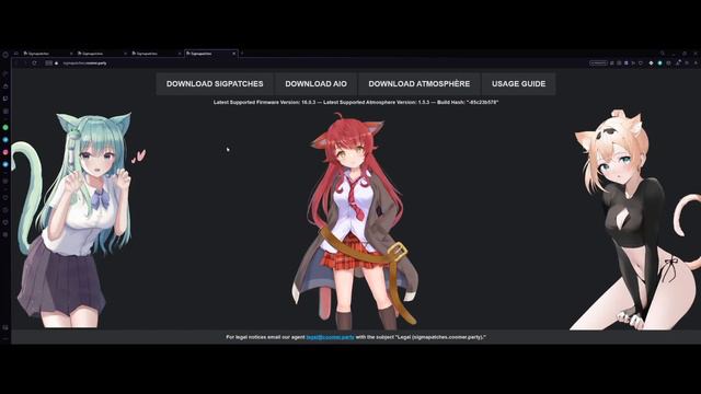 How To Install/Update Sig Patches (Modded Switch 2023) смотреть онлайн