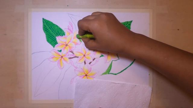 How to draw Flower | How to draw Plumeria Flowers | Oil pastel & pencil color | Kathalchapa Phool | смотреть онлайн