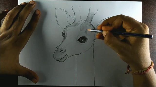 Giraffe Drawing || How to Draw Giraffe Step by Step for Beginners || Giraffe Face Drawing смотреть онлайн