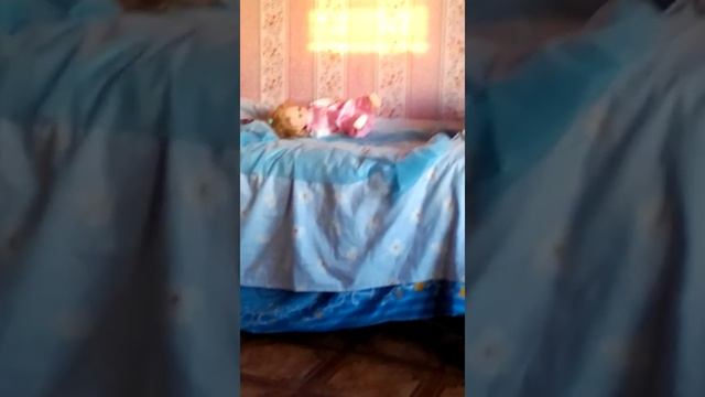 #Кошачьи киноэпопеи. Шеба, Бася и Таня. смотреть онлайн