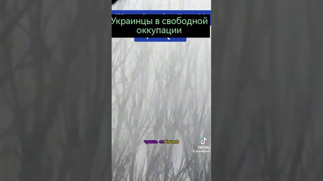 IMG_0470 смотреть онлайн