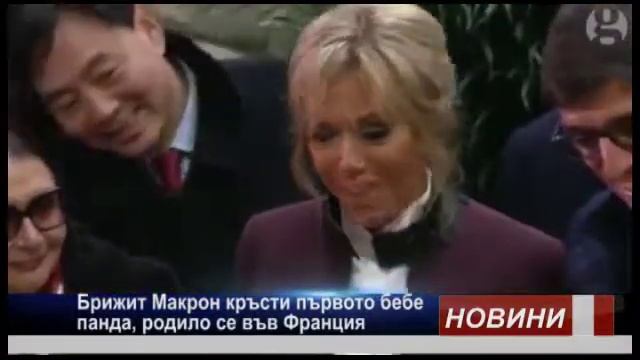 Брижит Макрон кръсти първото бебе панда, родило се във Франция смотреть онлайн