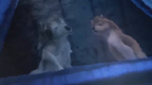 альфа и омега клип смотреть онлайн