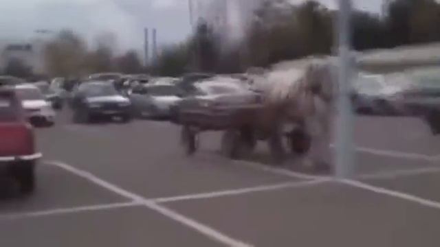 уши, лапы, хвост смотреть онлайн