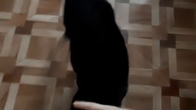 #Vlog. Мама приготовила галушки/Эпиляция ног и рук дома .