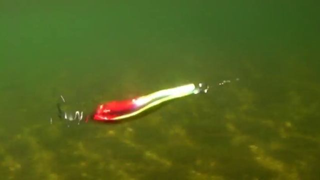 Колеблющаяся блесна Strike Pro Salmon Profy (PST-03) смотреть онлайн