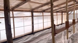 Зимовка клубники в теплице