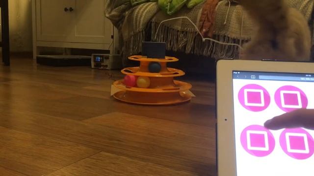 Remote control cat game. Prototype test. смотреть онлайн