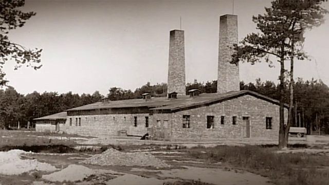 Освенцим: Нацисты и «Последнее решение» 5 серия «Массовые убийства» (документальный сериал, 2005) смотреть онлайн