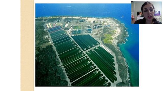 Шведский бьюти-комплекс Плюс. Виктория Блоцкая смотреть онлайн