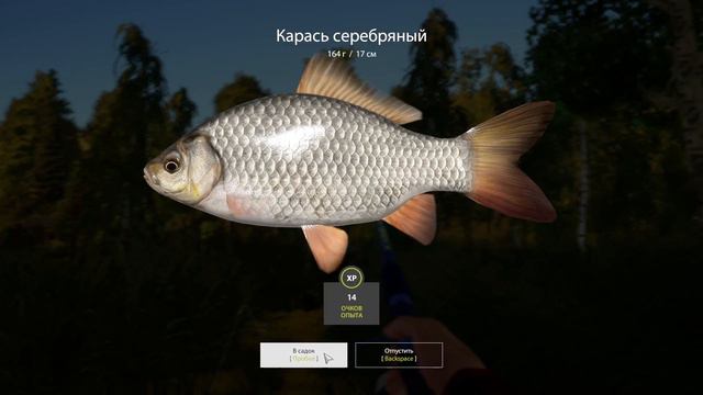 Данил дан играет в рыбалка 4. смотреть онлайн