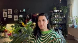 Лучшие кустовые филодендроны для квартиры