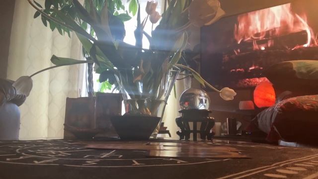? Not the one and then THE ONE! ? Tarot & Oracle Reading ? смотреть онлайн