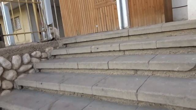 31.07.2018 Израиль Беэр Шева Sony DSC HX90V Прогулка И Небольшая Проверка На Вшивость! :) смотреть онлайн