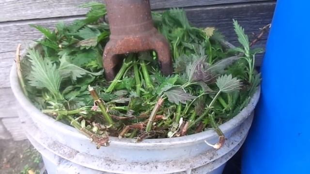 Готовим супер удобрение для подкормки овощных и цветочных культур смотреть онлайн