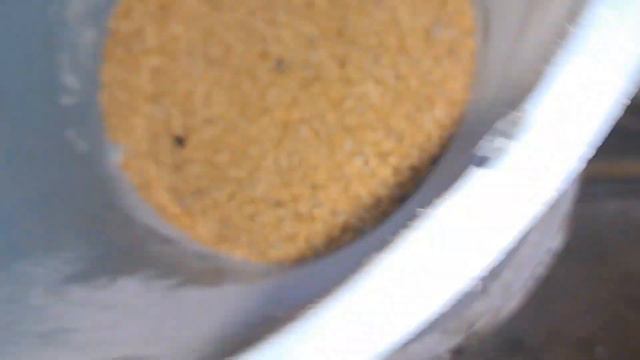 СНІГ НА ПОДВІР'Ї. ЧИ МЕРЗНУТЬ КАЧКИ ВЗИМКУ? смотреть онлайн