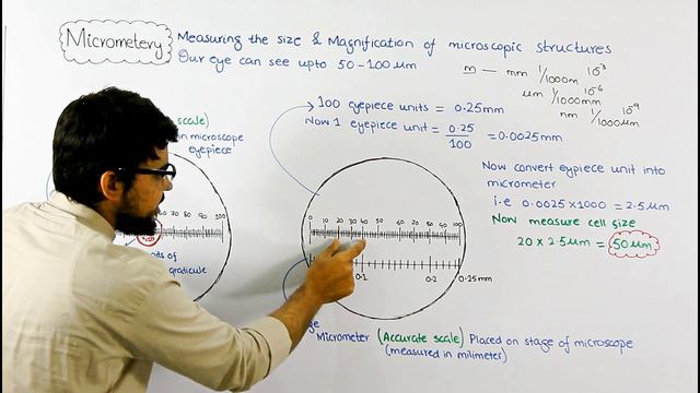 Micrometry | A technique of measuring size | Video 23 смотреть онлайн