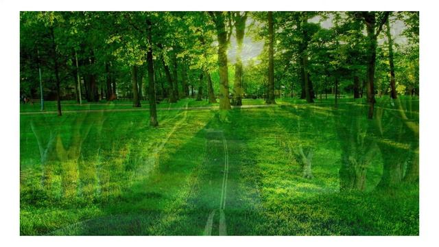 Best PC And Mac Wallpapers (2020) [Full HD]