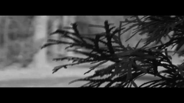 Canon Vixia HF S20 Camera Test смотреть онлайн