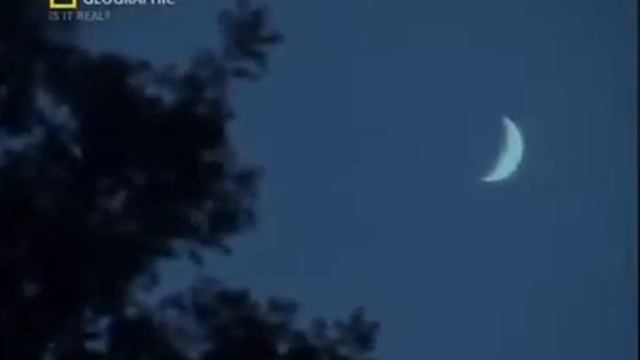 Знаменитая латиноамериканская чупакабра это обычные бродячие собаки смотреть онлайн