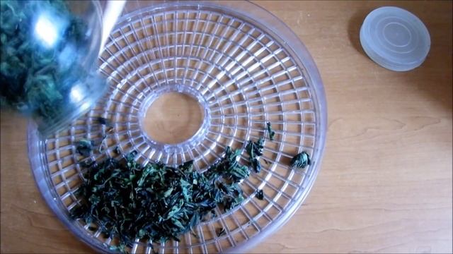 Чай из Иван чая Заготовка Ферментация Сушка Дегустация смотреть онлайн