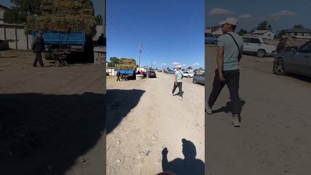 Каракол Чоптун Баасы 13 август смотреть онлайн