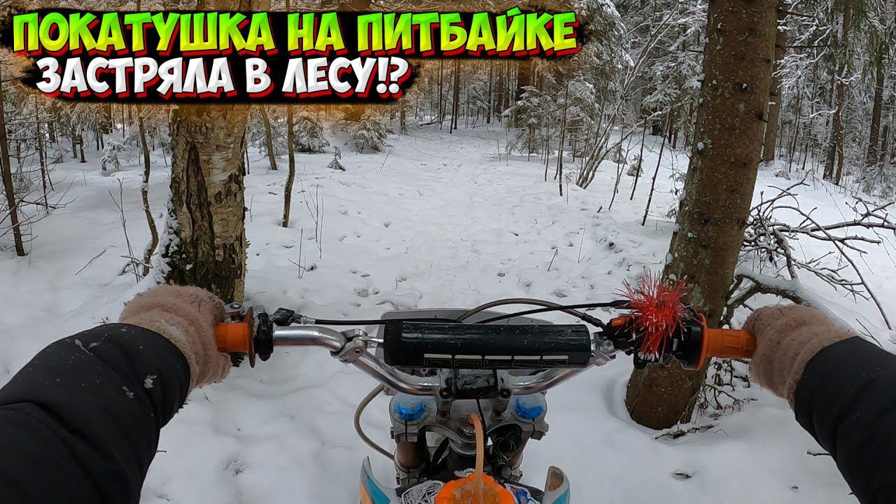 ПОКАТУШКА ЗИМОЙ НА ПИТБАЙКЕ ПО СНЕЖНОМУ ЛЕСУ смотреть онлайн