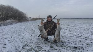 ОХОТА НА ЗАЙЦА. ЗАГОННАЯ ОХОТА.