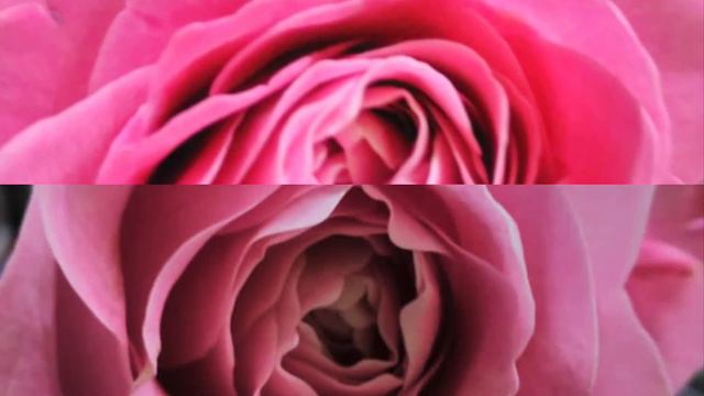 Хороших Выходных! смотреть онлайн