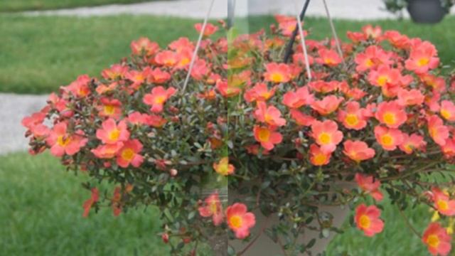 Строительные Приметы