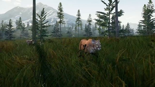 HUNTING SIMULATOR - Official Gameplay Trailer (New Open World Hunting Game) 2017 смотреть онлайн