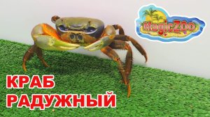 Радужный краб кушает салат. У нас новый питомец.