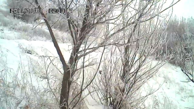 По глубокому снегу за зайцем. смотреть онлайн