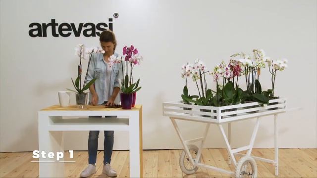 FIJI Orchid Pot How to do смотреть онлайн