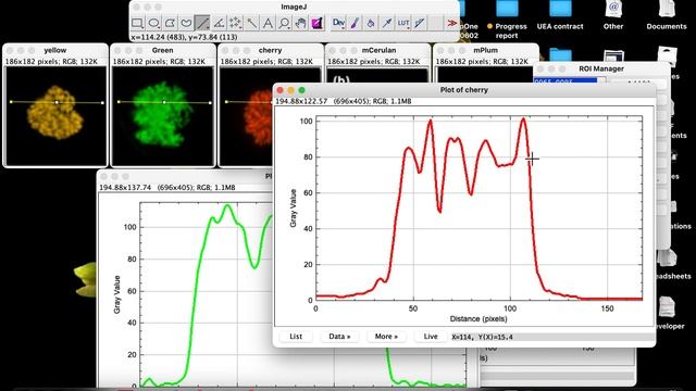 plot profile intensity for four fluorescent image in ImageJ |how to plot profile intensity in image смотреть онлайн