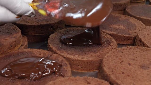 선주문 600개! 제과장인들의 초코케익 대량생산 / Mass production of 600 chocolate cakes - Cake factory смотреть онлайн
