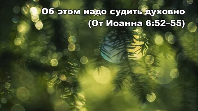 26.01.2014 Твердая пища? (От Иоанна 6:52–59) смотреть онлайн
