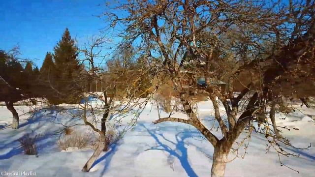 Классическая музыка, Зимние звуки, нежная музыка - Моцарт, Бетховен, Шопен, Чайковский, Россини, Ба смотреть онлайн