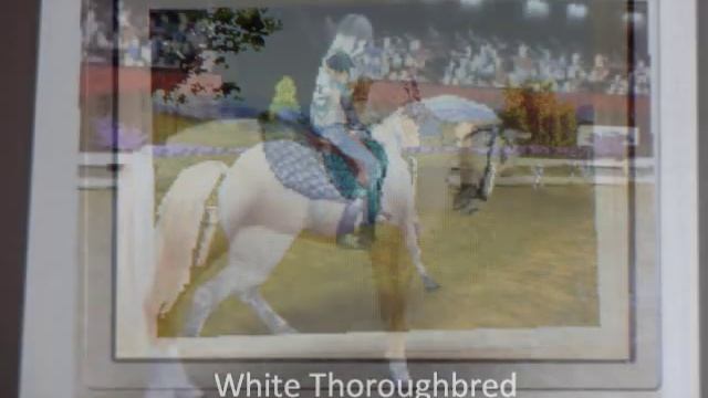 Horse Life 3 (How to create the Perfect SportHorse) смотреть онлайн