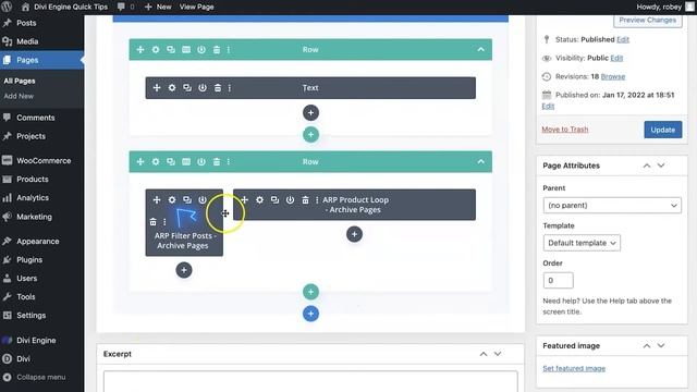 How to Add a Filter Field with Divi Ajax Filter смотреть онлайн