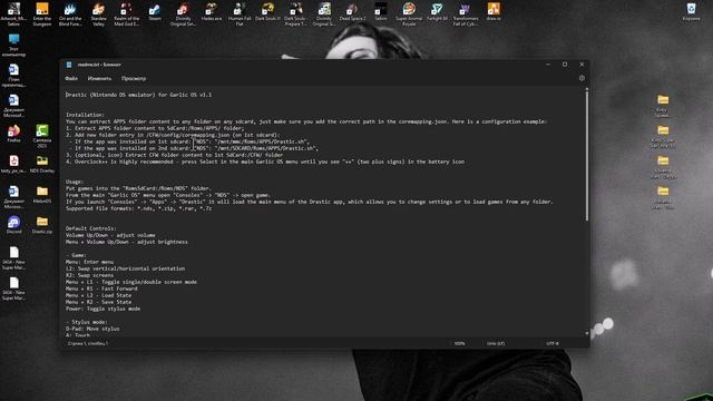 Эмулятор NDS Drastic Anbernic rg35xx Garlic OS смотреть онлайн